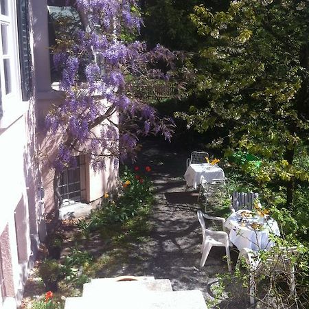 Garden Studio Apartment Zürichberg Kamer foto