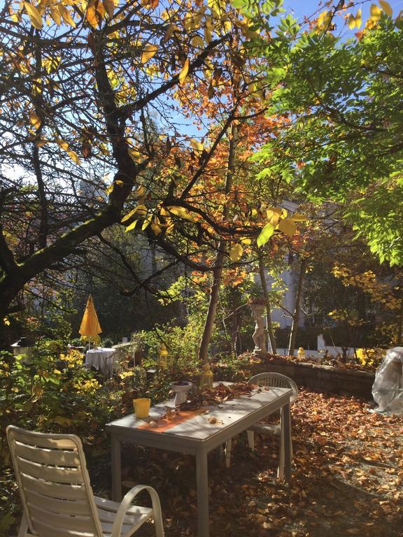 Garden Studio Apartment Zürichberg Buitenkant foto