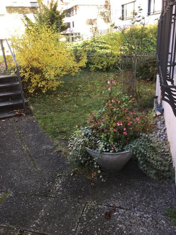 Garden Studio Apartment Zürichberg Buitenkant foto
