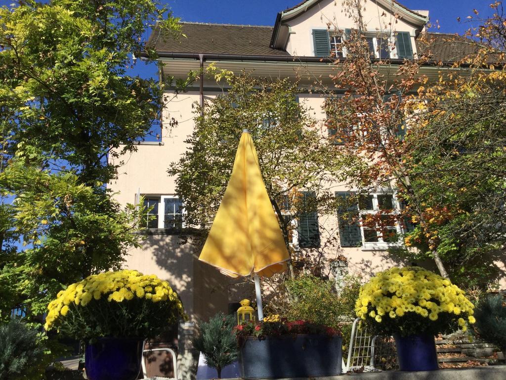Garden Studio Apartment Zürichberg Buitenkant foto