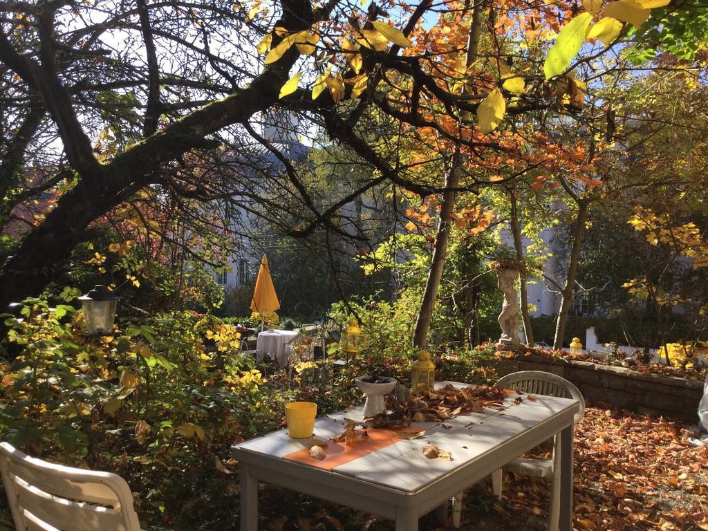 Garden Studio Apartment Zürichberg Buitenkant foto